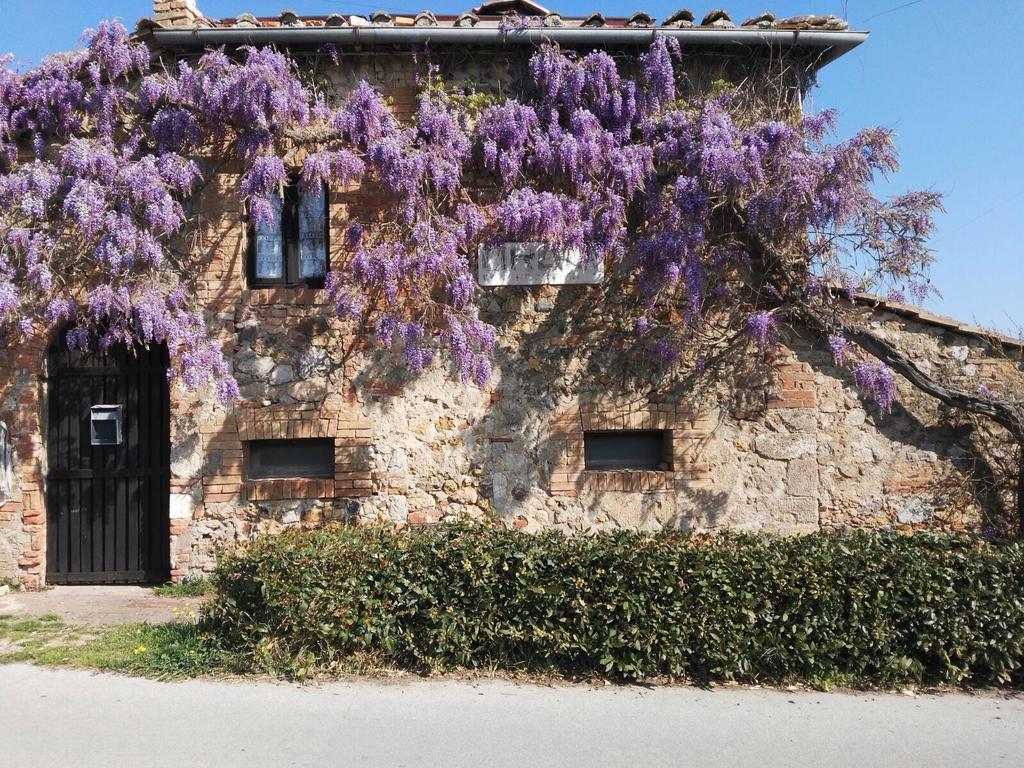 索维奇勒Casa Vacanze Borgolozzi别墅 外观 照片